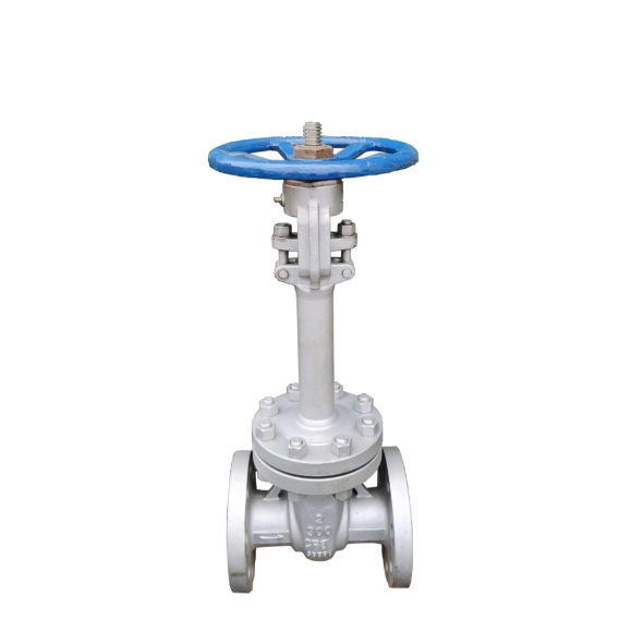Chì sò i criteri di selezzione per valves